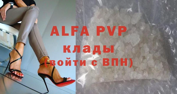 крисы Алзамай