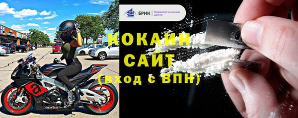 крисы Алексин