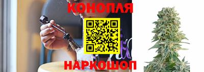 альфа пвп Новокубанск
